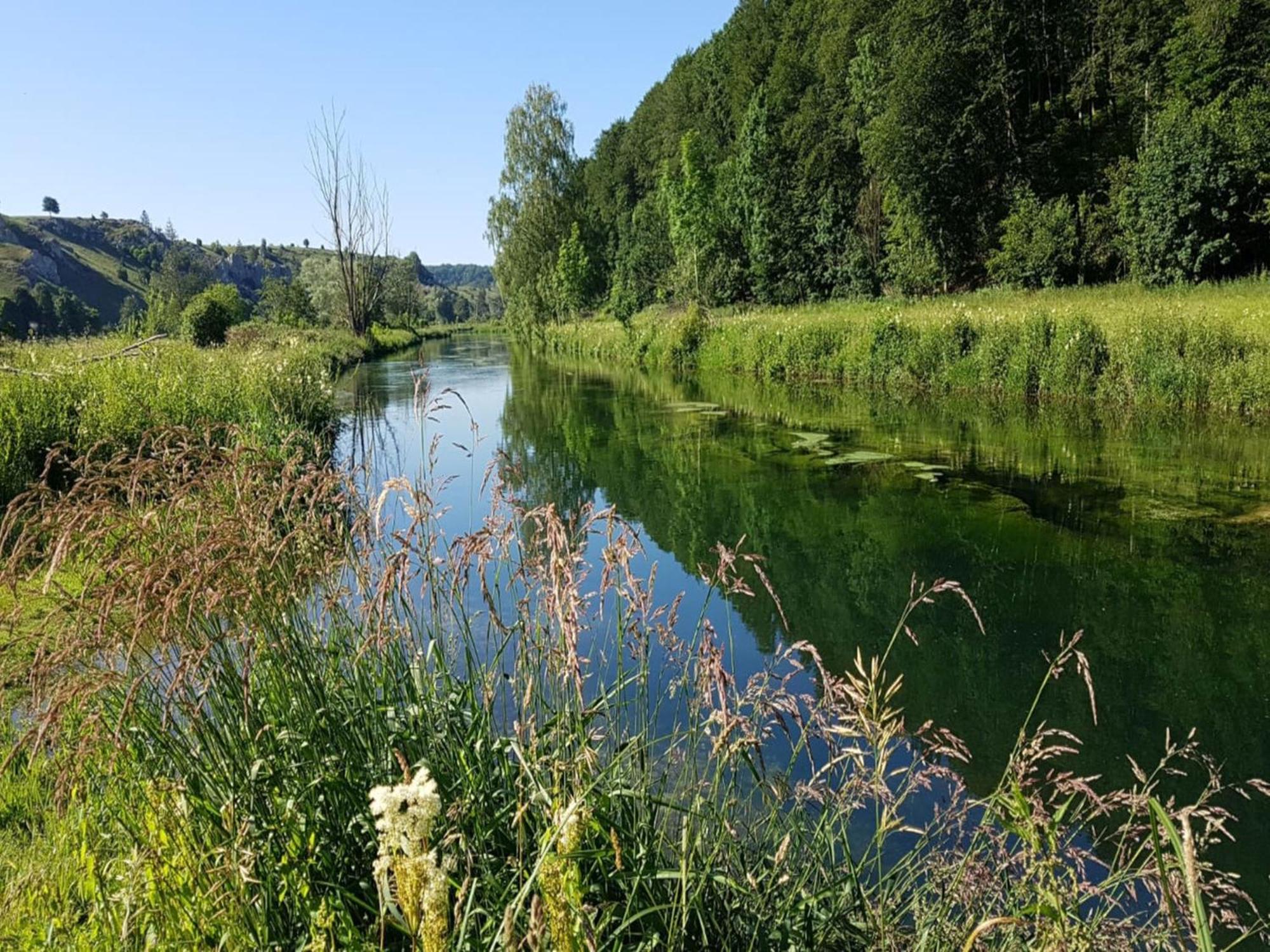 Appartement Am Eselsburger Tal *
